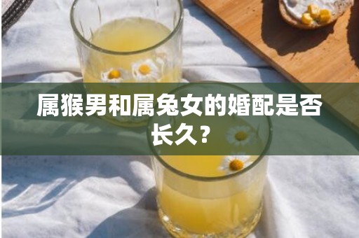 属猴男和属兔女的婚配是否长久？