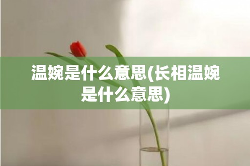 温婉是什么意思(长相温婉是什么意思)