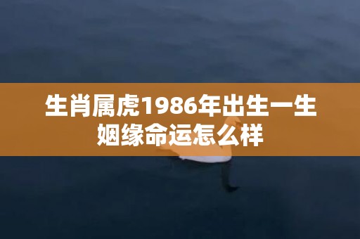 生肖属虎1986年出生一生姻缘命运怎么样