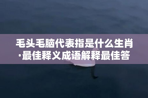 毛头毛脑代表指是什么生肖·最佳释义成语解释最佳答