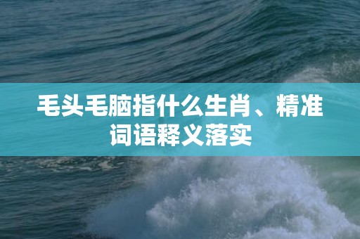 毛头毛脑指什么生肖、精准词语释义落实