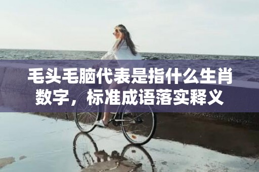 毛头毛脑代表是指什么生肖数字，标准成语落实释义