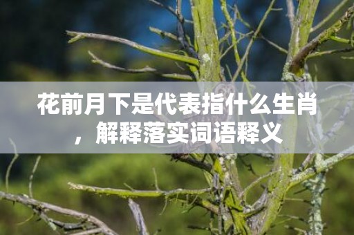 花前月下是代表指什么生肖，解释落实词语释义