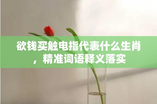 欲钱买触电指代表什么生肖，精准词语释义落实