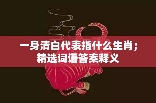 一身清白代表指什么生肖；精选词语答案释义