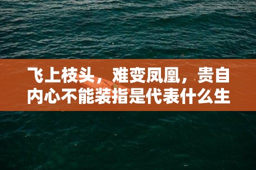 飞上枝头，难变凤凰，贵自内心不能装指是代表什么生肖，精准词语释义落实