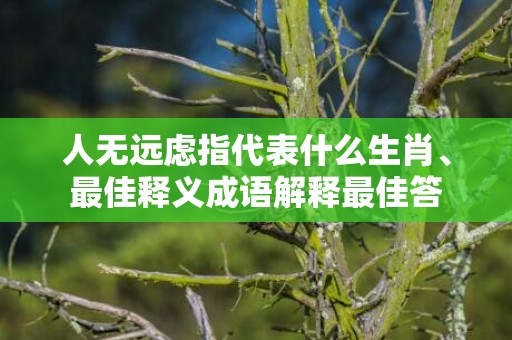 人无远虑指代表什么生肖、最佳释义成语解释最佳答