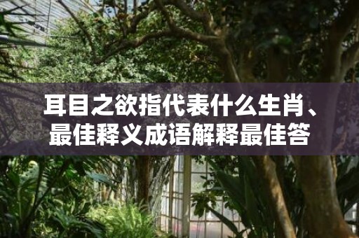 耳目之欲指代表什么生肖、最佳释义成语解释最佳答