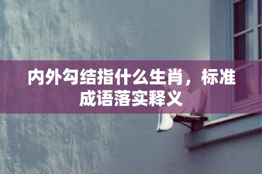 内外勾结指什么生肖，标准成语落实释义