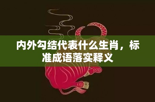 内外勾结代表什么生肖，标准成语落实释义