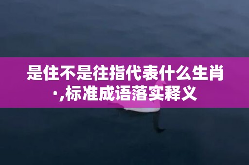 是住不是往指代表什么生肖·,标准成语落实释义