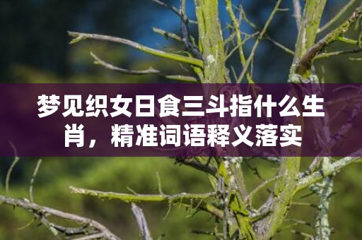 梦见织女日食三斗指什么生肖，精准词语释义落实