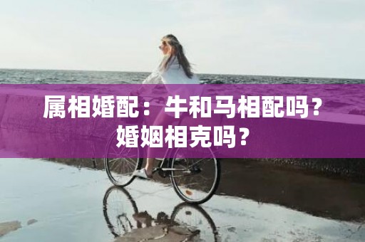 属相婚配：牛和马相配吗？婚姻相克吗？插图