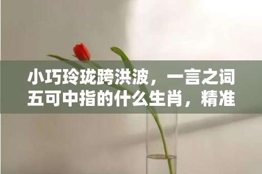 小巧玲珑跨洪波，一言之词五可中指的什么生肖，精准词语释义落实