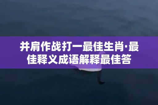 并肩作战打一最佳生肖·最佳释义成语解释最佳答