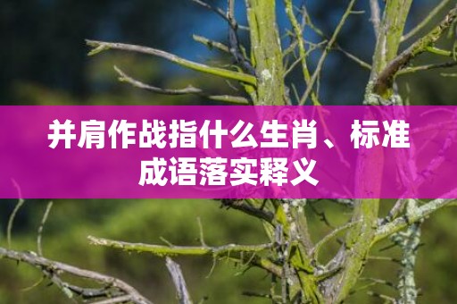 并肩作战指什么生肖、标准成语落实释义