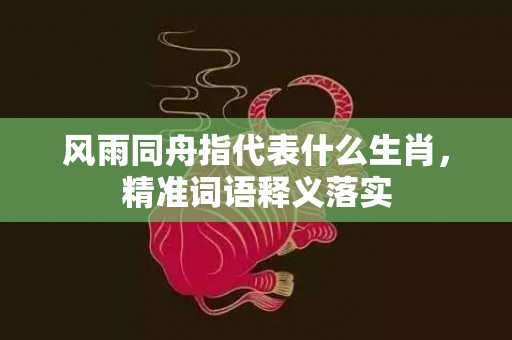 风雨同舟指代表什么生肖，精准词语释义落实插图