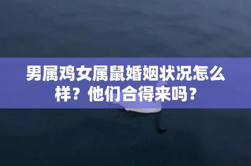 男属鸡女属鼠婚姻状况怎么样？他们合得来吗？插图