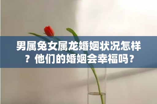 男属兔女属龙婚姻状况怎样？他们的婚姻会幸福吗？