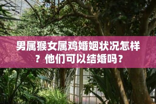 男属猴女属鸡婚姻状况怎样？他们可以结婚吗？插图