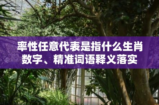 率性任意代表是指什么生肖数字、精准词语释义落实