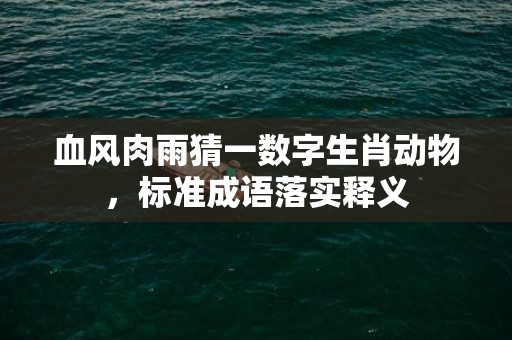 血风肉雨猜一数字生肖动物，标准成语落实释义插图