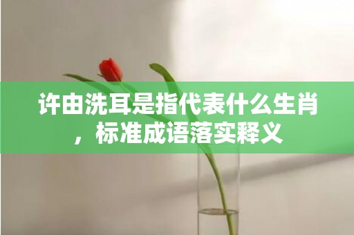 许由洗耳是指代表什么生肖，标准成语落实释义插图