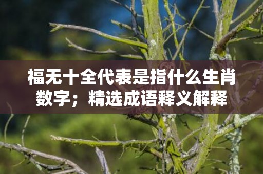 福无十全代表是指什么生肖数字；精选成语释义解释