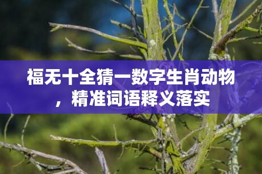 福无十全猜一数字生肖动物，精准词语释义落实