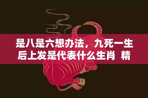 是八是六想办法，九死一生后上发是代表什么生肖  精选成语释义解释