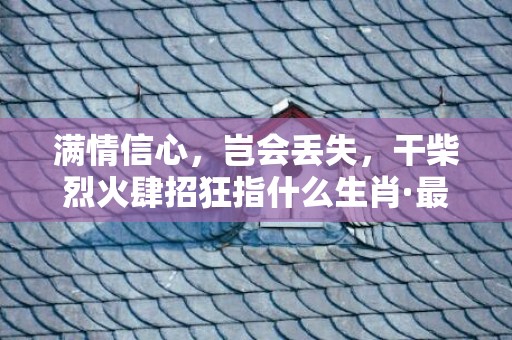 满情信心，岂会丢失，干柴烈火肆招狂指什么生肖·最佳释义成语解释最佳答