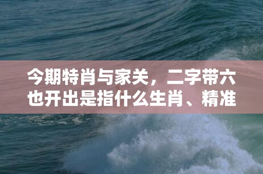 今期特肖与家关，二字带六也开出是指什么生肖、精准词语释义落实