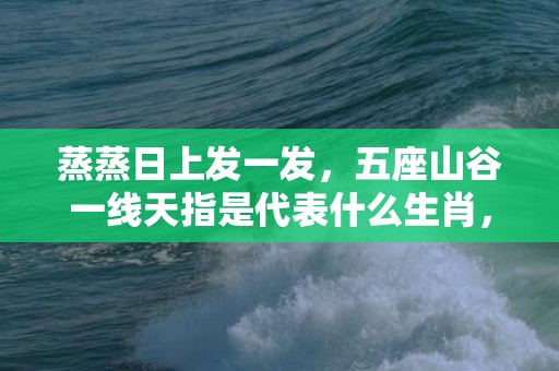 蒸蒸日上发一发，五座山谷一线天指是代表什么生肖，标准成语落实释义