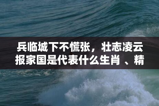 兵临城下不慌张，壮志凌云报家国是代表什么生肖 、精准词语释义落实