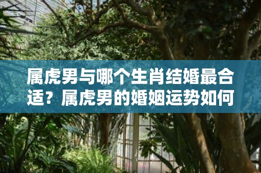 属虎男与哪个生肖结婚最合适？属虎男的婚姻运势如何？插图