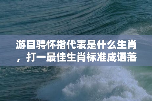 游目骋怀指代表是什么生肖，打一最佳生肖标准成语落实释义