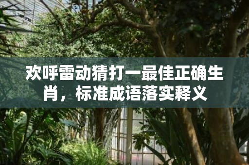 欢呼雷动猜打一最佳正确生肖，标准成语落实释义插图