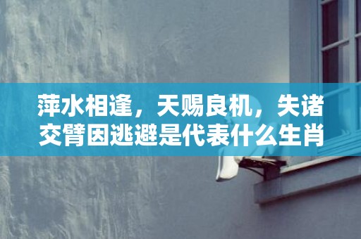 萍水相逢，天赐良机，失诸交臂因逃避是代表什么生肖 、精准词语释义落实插图