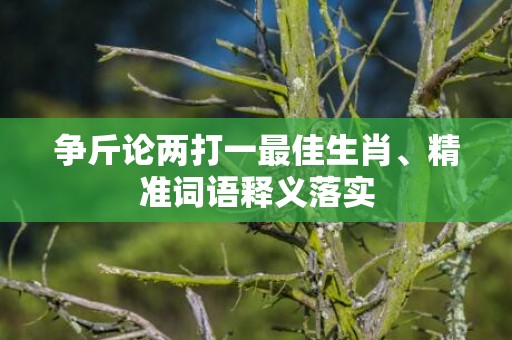 争斤论两打一最佳生肖、精准词语释义落实