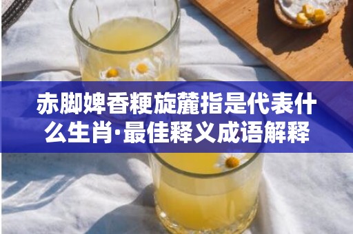 赤脚婢香粳旋麓指是代表什么生肖·最佳释义成语解释最佳答