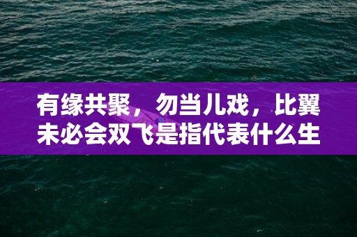 有缘共聚，勿当儿戏，比翼未必会双飞是指代表什么生肖，标准成语落实释义