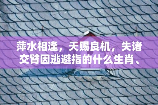 萍水相逢，天赐良机，失诸交臂因逃避指的什么生肖、标准成语落实释义