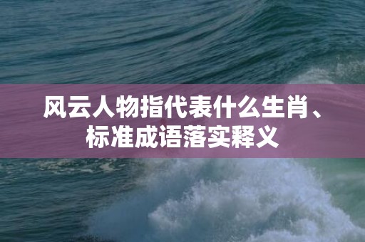 风云人物指代表什么生肖、标准成语落实释义