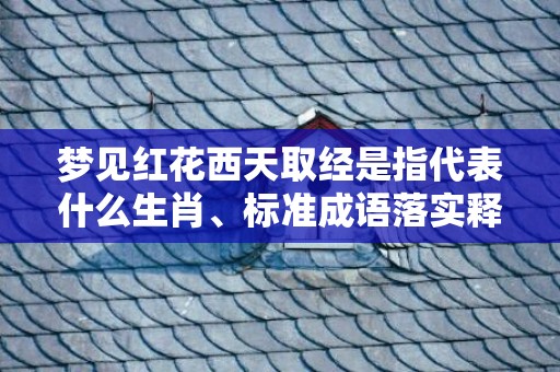 梦见红花西天取经是指代表什么生肖、标准成语落实释义