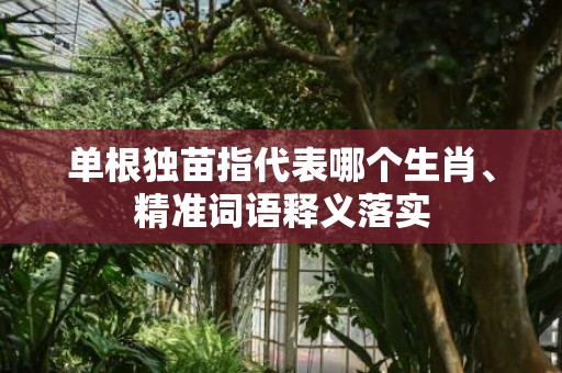 单根独苗指代表哪个生肖、精准词语释义落实插图