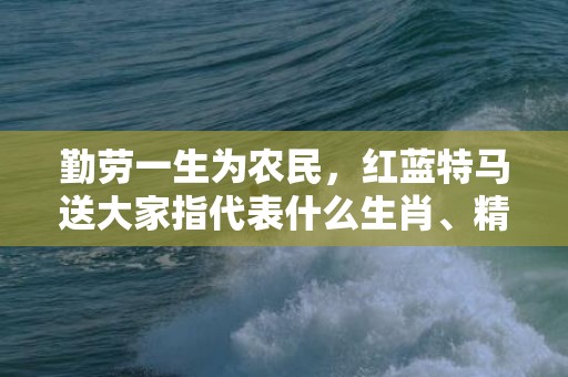 勤劳一生为农民，红蓝特马送大家指代表什么生肖、精准词语释义落实