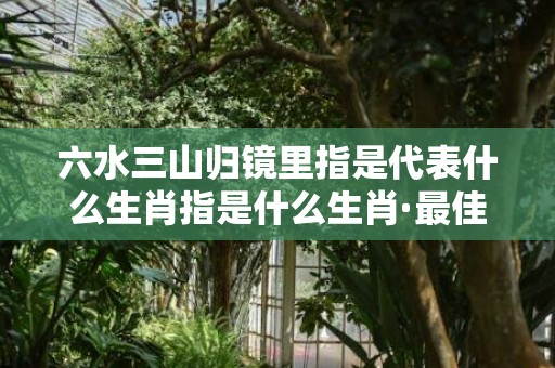 六水三山归镜里指是代表什么生肖指是什么生肖·最佳释义成语解释最佳答插图