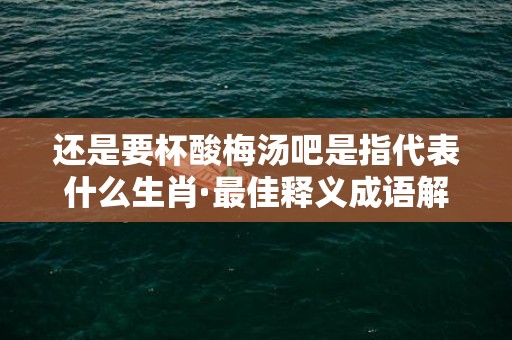 还是要杯酸梅汤吧是指代表什么生肖·最佳释义成语解释最佳答