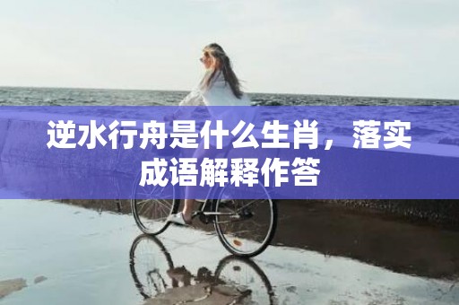 逆水行舟是什么生肖，落实成语解释作答插图