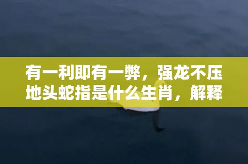 有一利即有一弊，强龙不压地头蛇指是什么生肖，解释成语落实揭晓